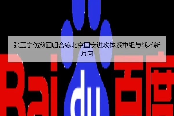张玉宁伤愈回归合练北京国安进攻体系重组与战术新方向